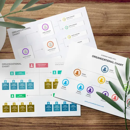 Organisational charts on a desk — your hierarchy, mirrored in how Brain is organised