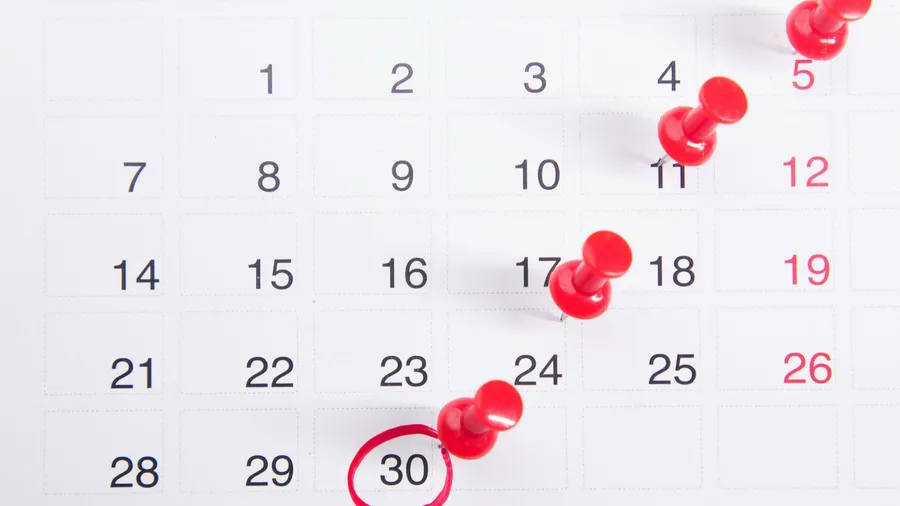 Never miss a VAT deadline again