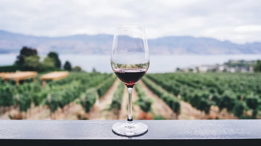 Snap a photo of the wine list, sound like a sommelier